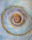 USA, Washington State, Seabeck. Moon snail shell close-up. Art Print